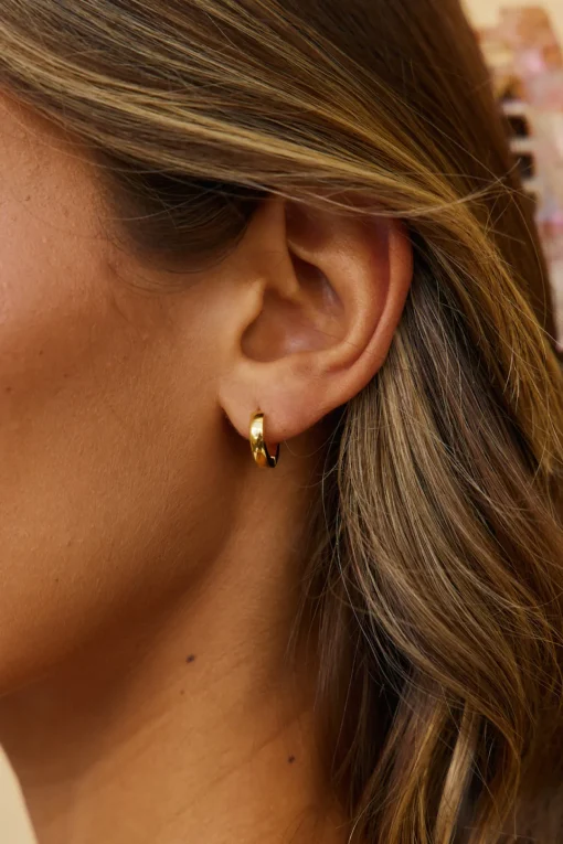 18k Gold Plated Mine Forever Earrings Gold